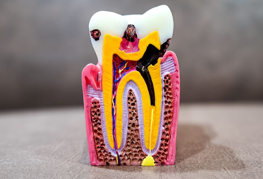 Ark-G Dental & Cosmetics Centre